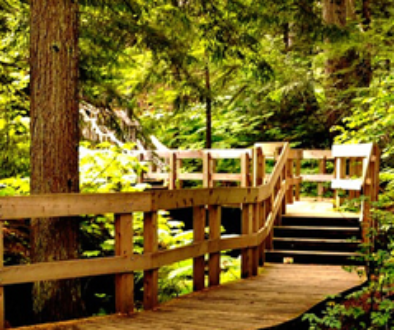 Mount Revelstoke National Park Giant Cedars Boardwalk
