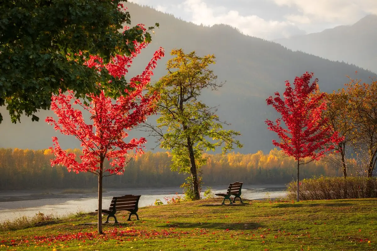 web blog Fall mix 43